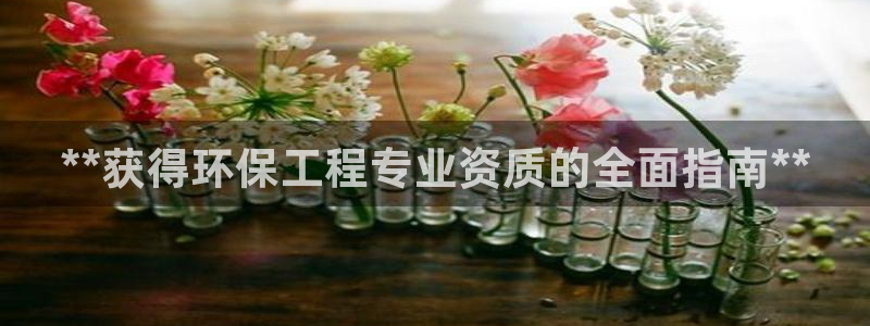最新彩名堂计划：**获得环保工程专业资质的全面指南**