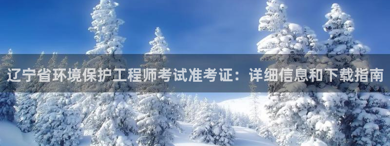 彩名堂人工计划客户端：辽宁省环境保护工程师考试准考证：详细信息和下载指南