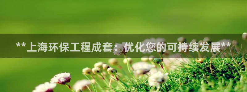彩名堂为什么用不了了：**上海环保工