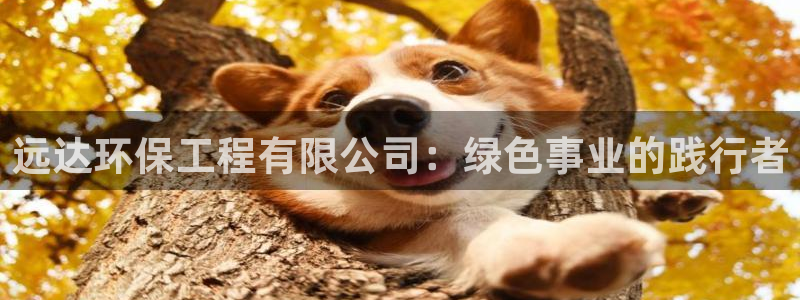 彩名堂手机客户端：远达环保工程有限公