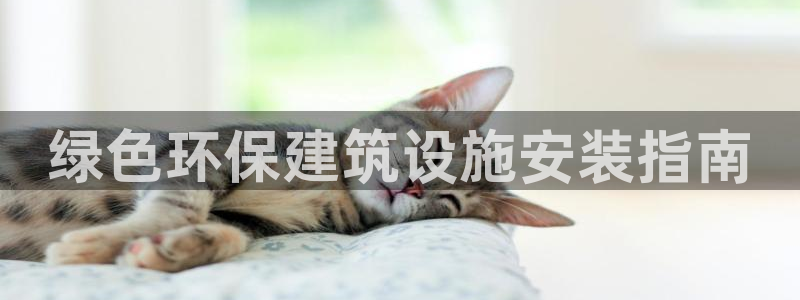 彩名堂客户端官网：绿色环保建筑设施安装指南