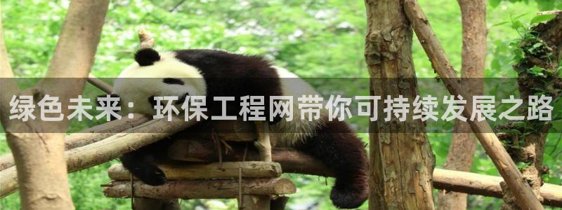彩名堂旧版本：绿色未来：环保工程网带