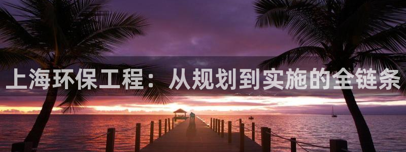 彩名堂5.0版计划怎么用不了：上海环保工程：从规划到实施的全