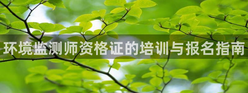 彩名堂计划技巧有哪些：环境监测师资格证的培训与报名指南