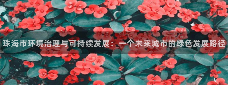 彩名堂计划最新版手机版：珠海市环境治理与可持续发展：一个未来