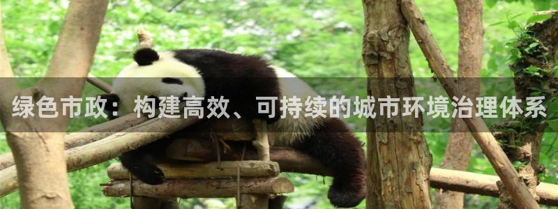 彩名堂预测计划：绿色市政：构建高效、可持续的城市环境治理体系