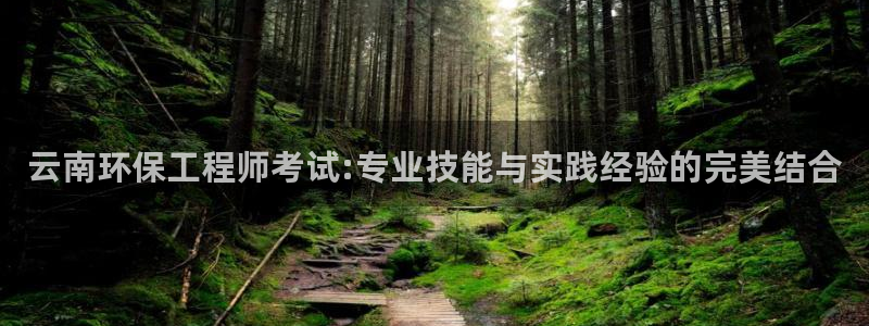彩名堂客服电话号码：云南环保工程师考试:专业技能与实践经验的