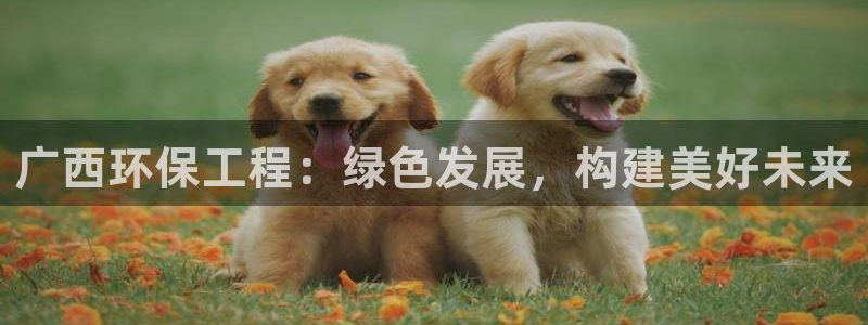 彩名堂怎么选稳定计划产品：广西环保工