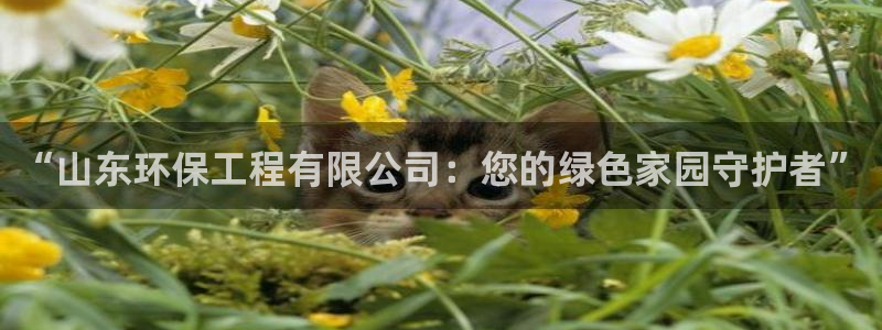 彩名堂客户端是永久免费吗：“山东环保工程有限公司：您的绿色家