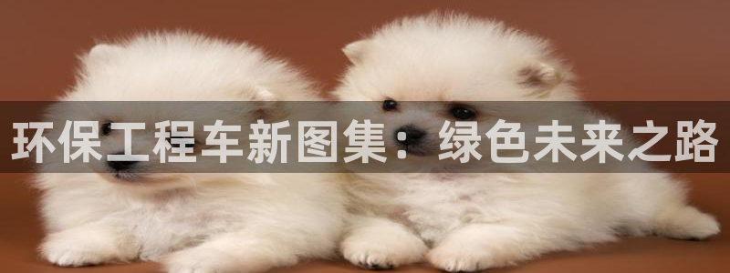 彩名堂app下载5.1.0：环保工程车新图集：绿色未来之路