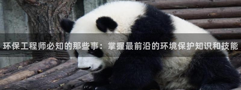 彩名堂是不是坑人的：环保工程师必知的那些事：掌握最前沿的环境保护知识和技能