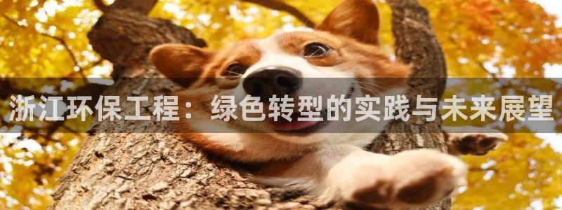 彩名堂到底怎么看,一跟就挂：浙江环保工程：绿色转型的实践与未