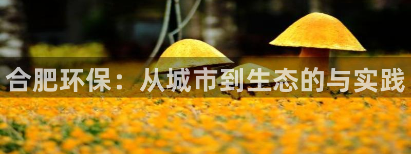 彩名堂一直不出结果怎么回事儿：合肥环