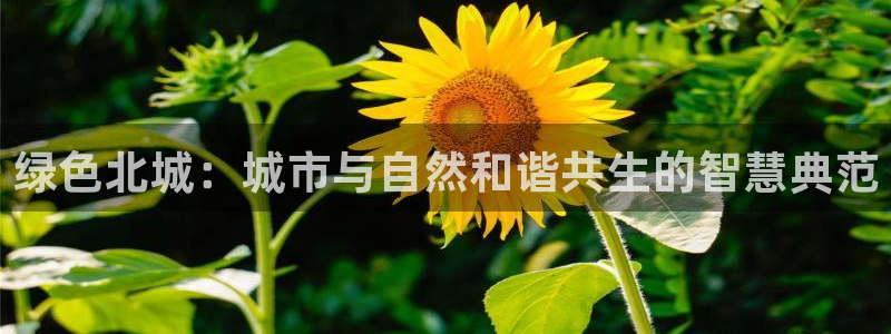 彩名堂预测免费计划怎么看的：绿色北城：城市与自然和谐共生的智
