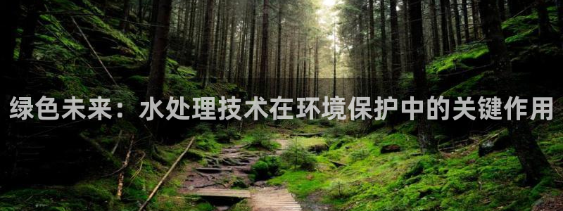 彩名堂是什么：绿色未来：水处理技术在环境保护中的关键作用