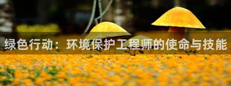 彩名堂不能用了吗：绿色行动：环境保护工程师的使命与技能