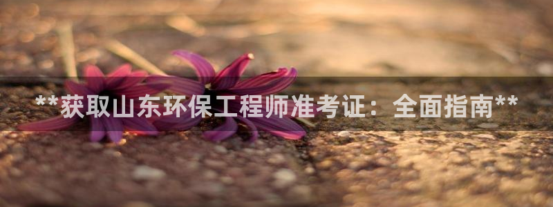彩名堂计划app新版：**获取山东环