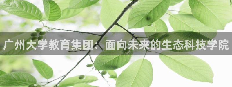 彩名堂官网计划怎么下载：广州大学教育集团：面向未来的生态科技