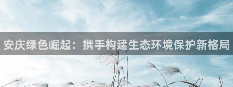 彩名堂怎么打最稳：安庆绿色崛起：携手构建生态环境保护新格局